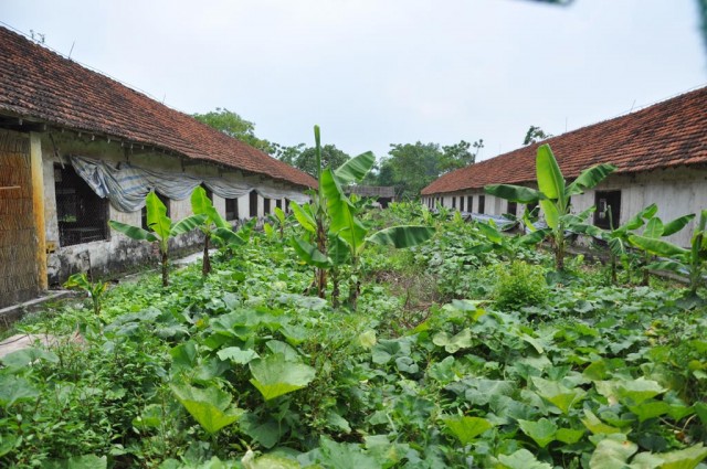Khu chuồng lợn rừng