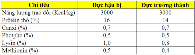 thức ăn cho lợn rừng đực